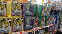DSC00737.JPG